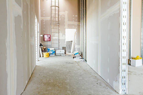 Best Mold Odor Removal Services  in Ulysses, KS